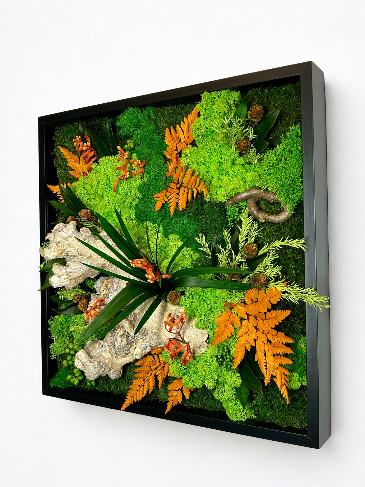 Tableau végétal stabilisé « Constança »