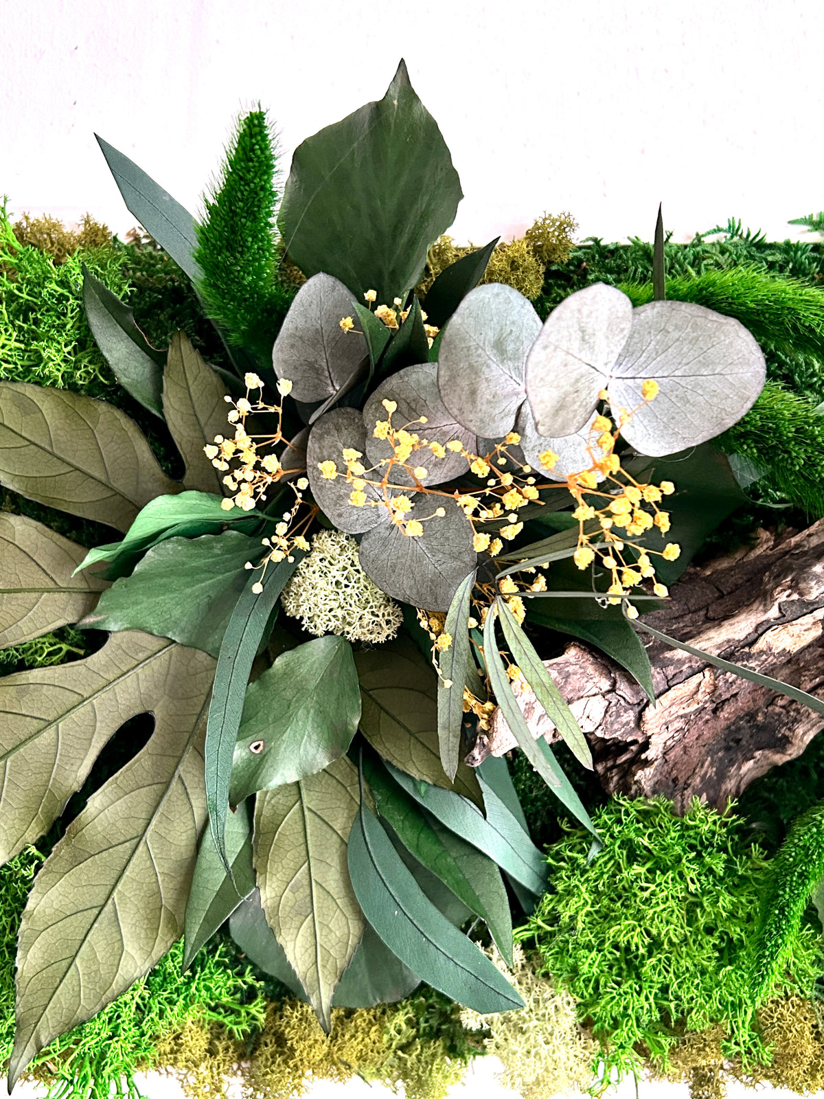 Tableau végétal stabilisé « Jade » – Cadre végétal panoramique – Mousses et plantes naturelles – Décoration murale artisanale
