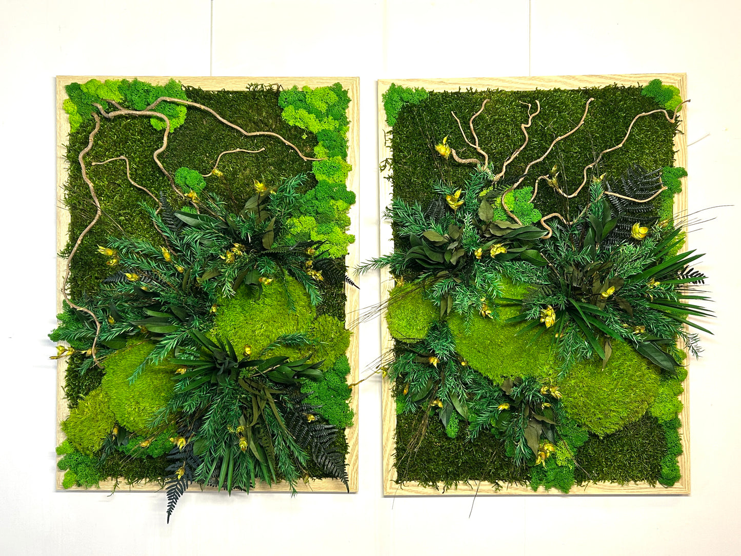 Tableau végétal stabilisé XXL « Tongass »