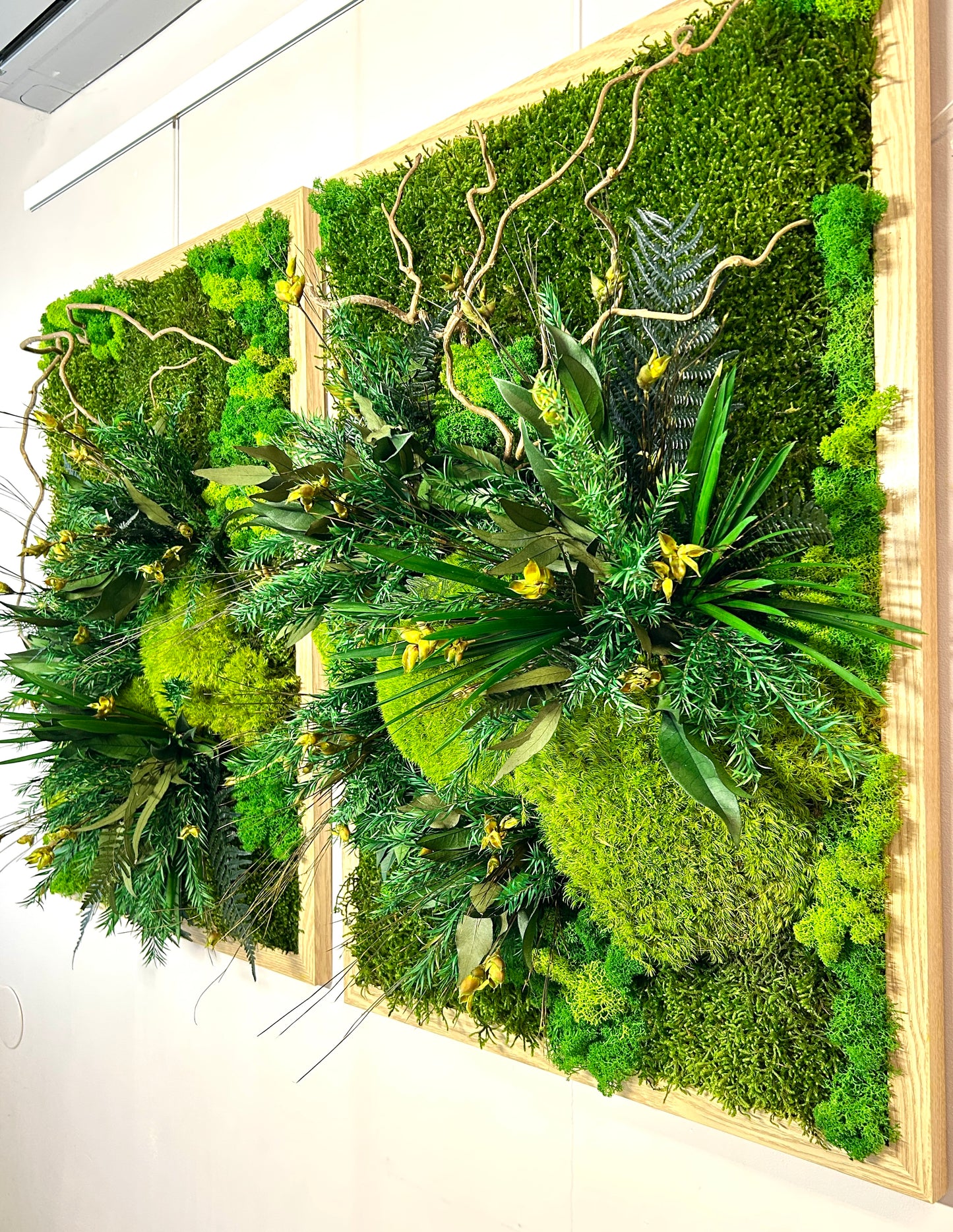 Tableau végétal stabilisé XXL « Tongass »