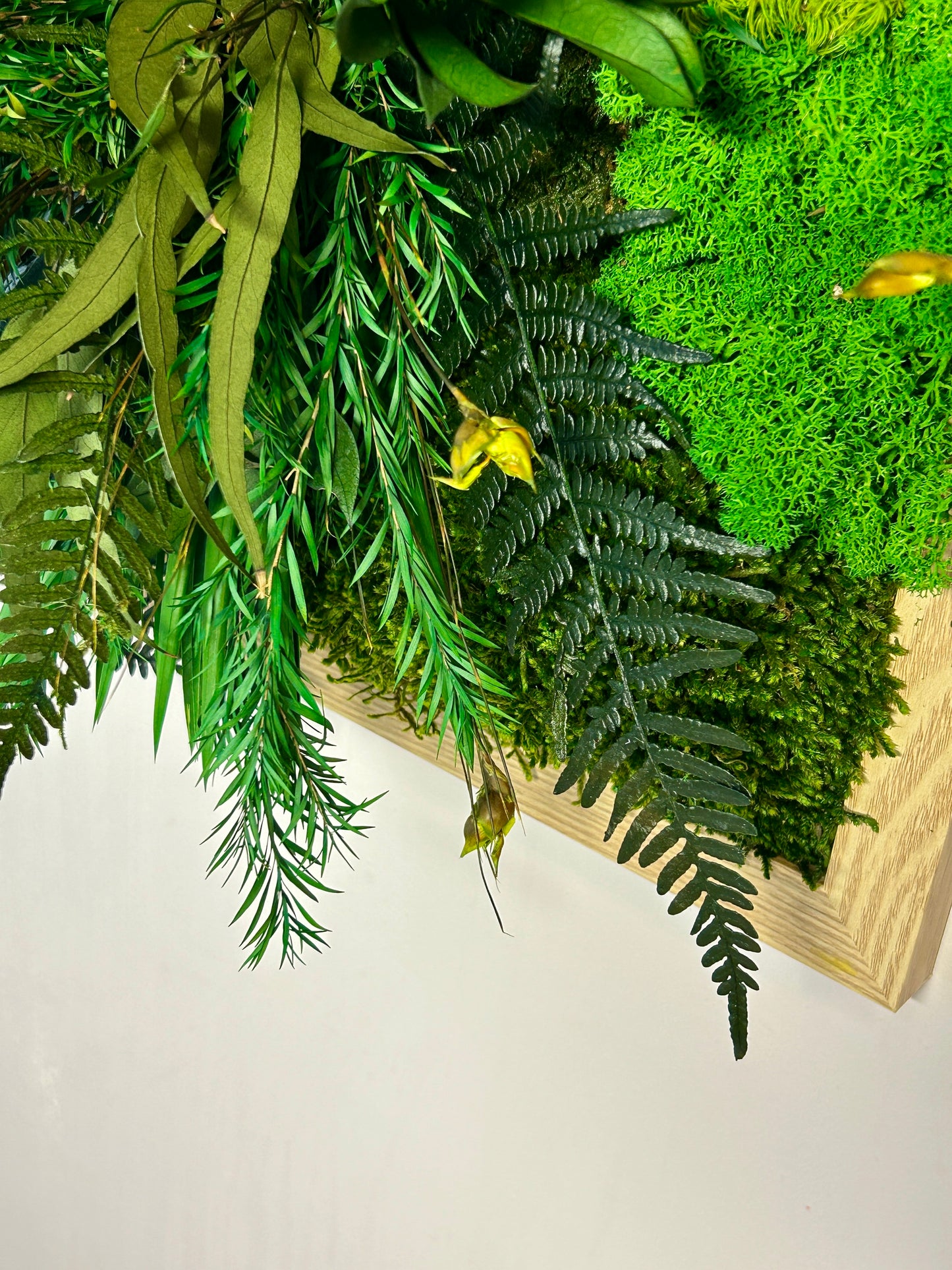 Tableau végétal stabilisé XXL « Tongass »