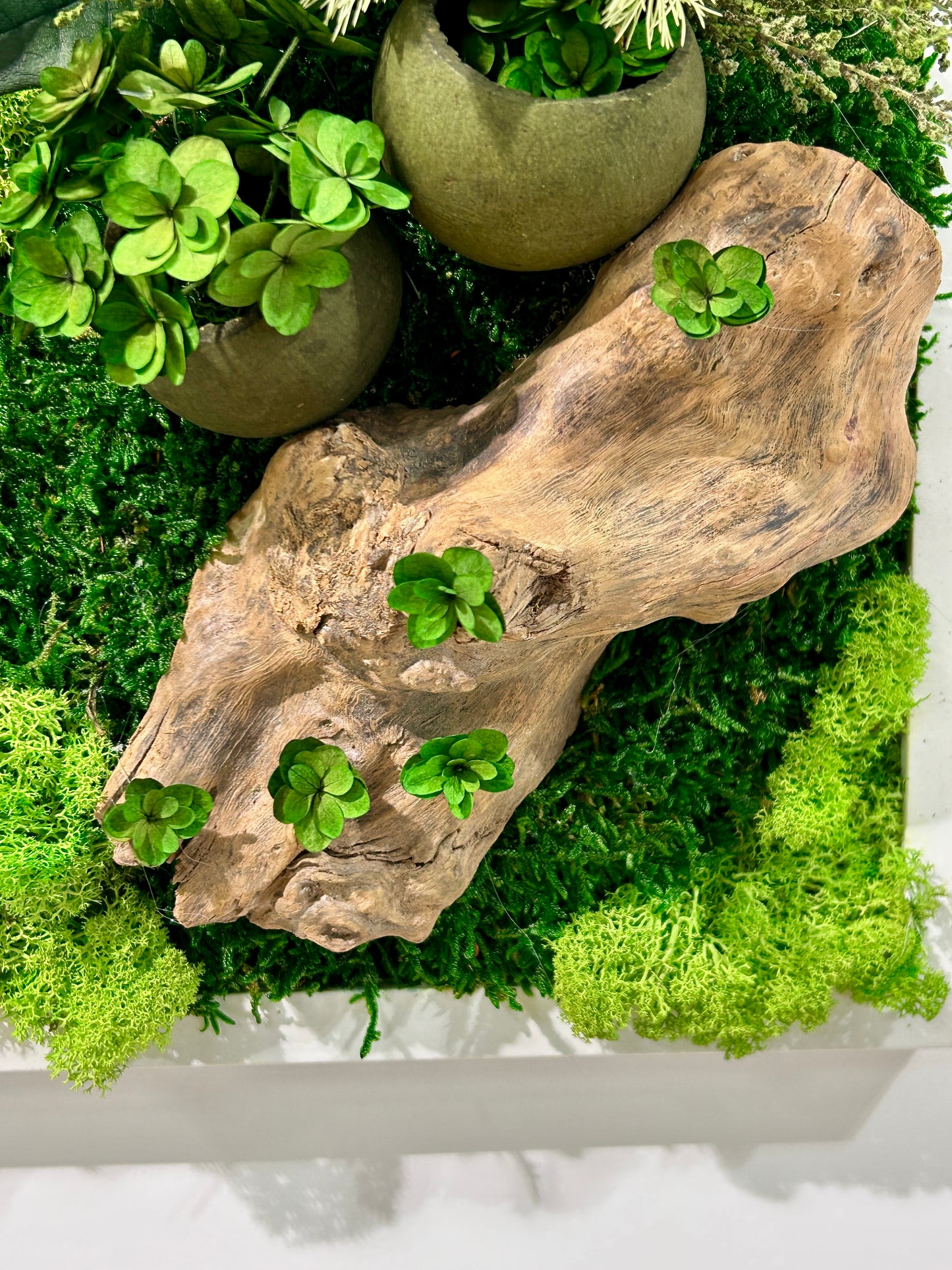 Tableau végétal stabilisé panoramique / vertical « Sous-Bois »