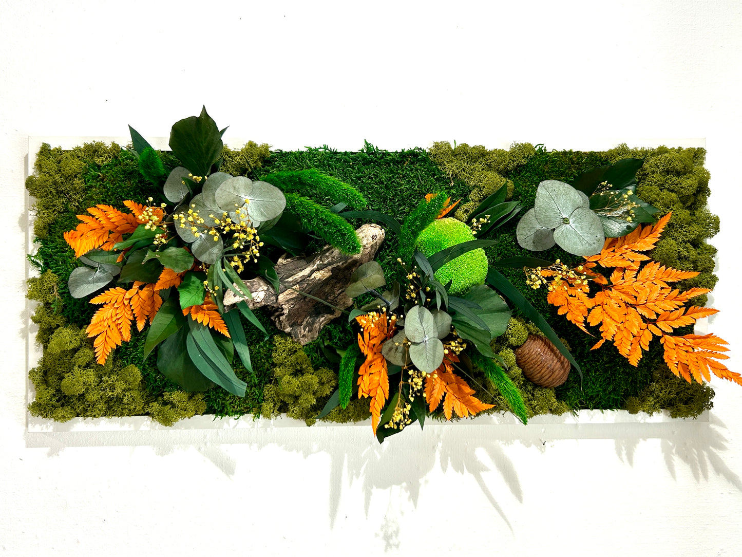 Tableau végétal stabilisé « Forêt des Elfes »