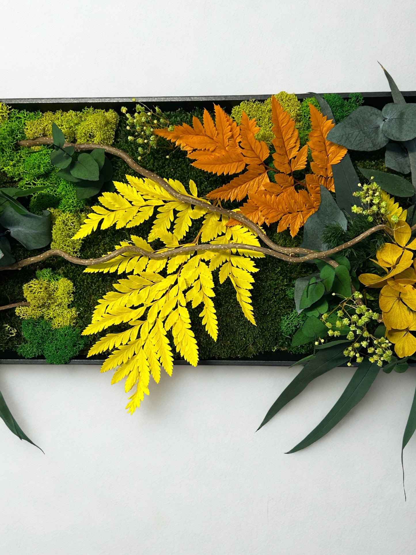 Tableau végétal stabilisé “Rayon Ambre”
