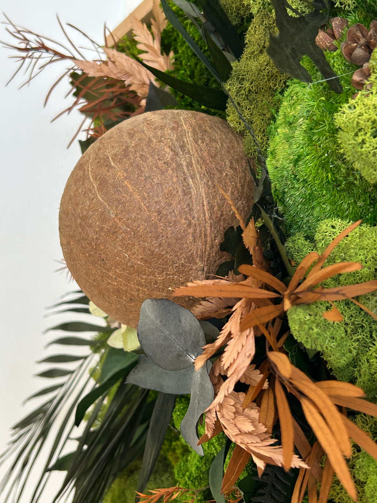Tableau mural carré végétal stabilisé  « Coco»