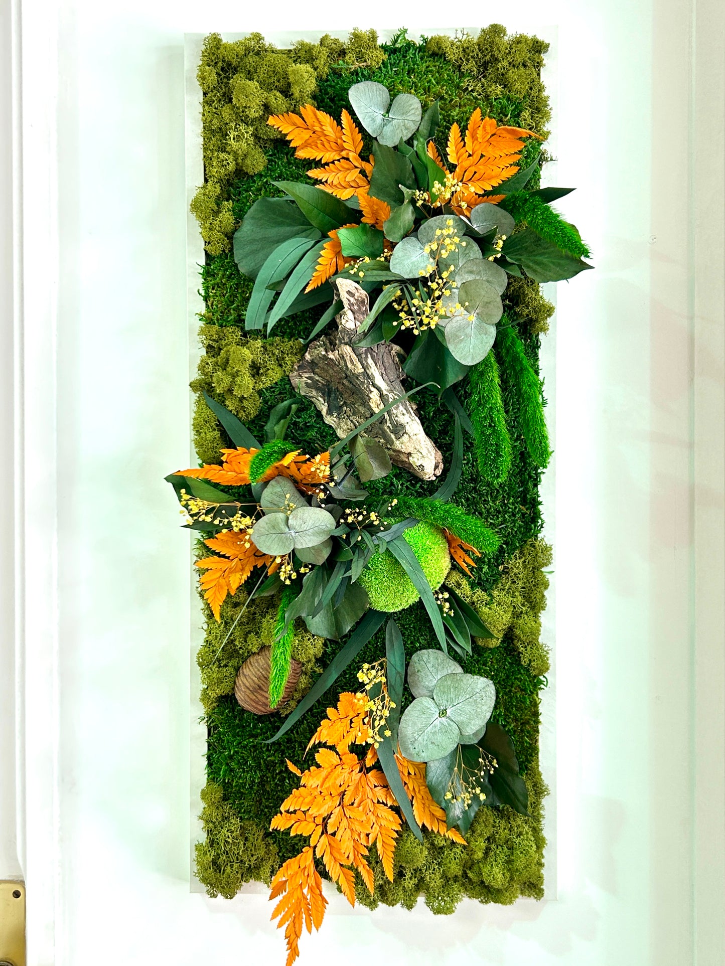 Tableau végétal stabilisé « Forêt des Elfes »