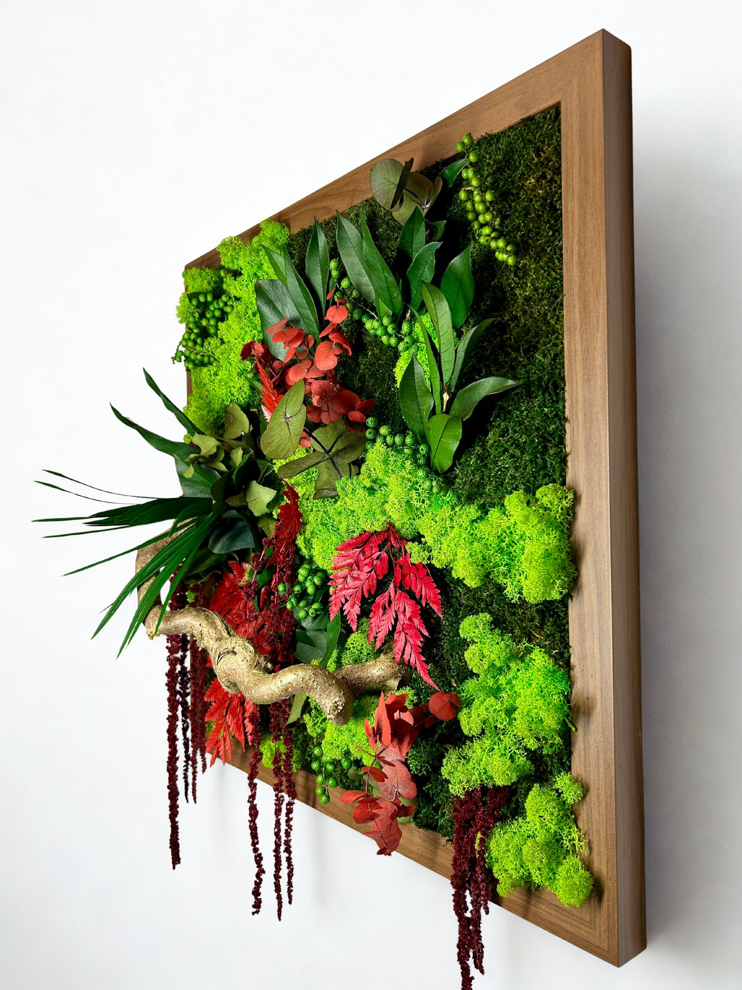 Cadre végétal stabilisé mural avec mousse verte, feuillages rouges et racine décorative