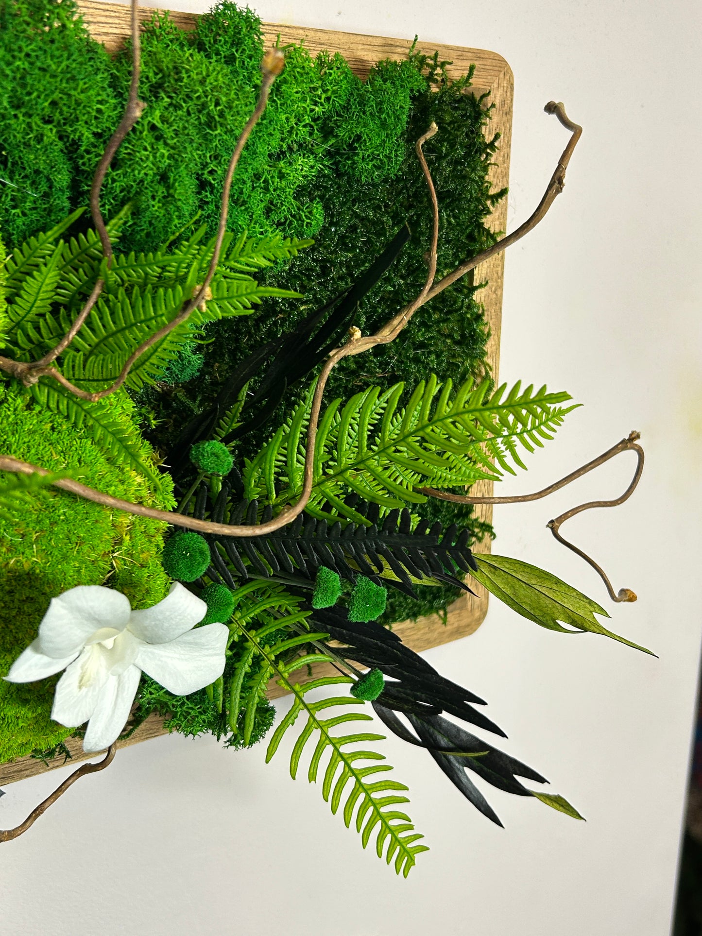 Tableau végétal stabilisé “Calista”
