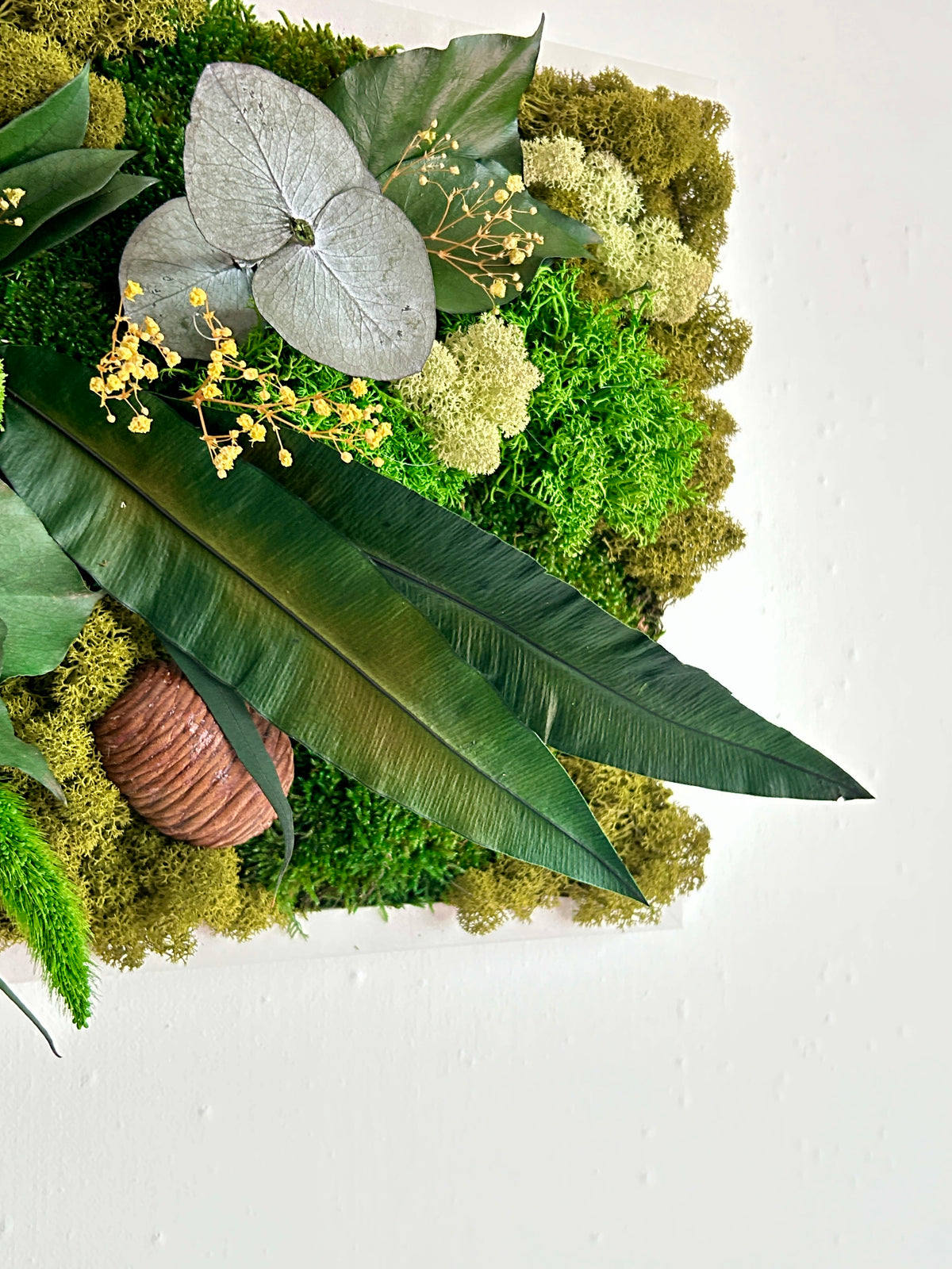 Tableau végétal stabilisé « Jade » – Cadre végétal panoramique – Mousses et plantes naturelles – Décoration murale artisanale
