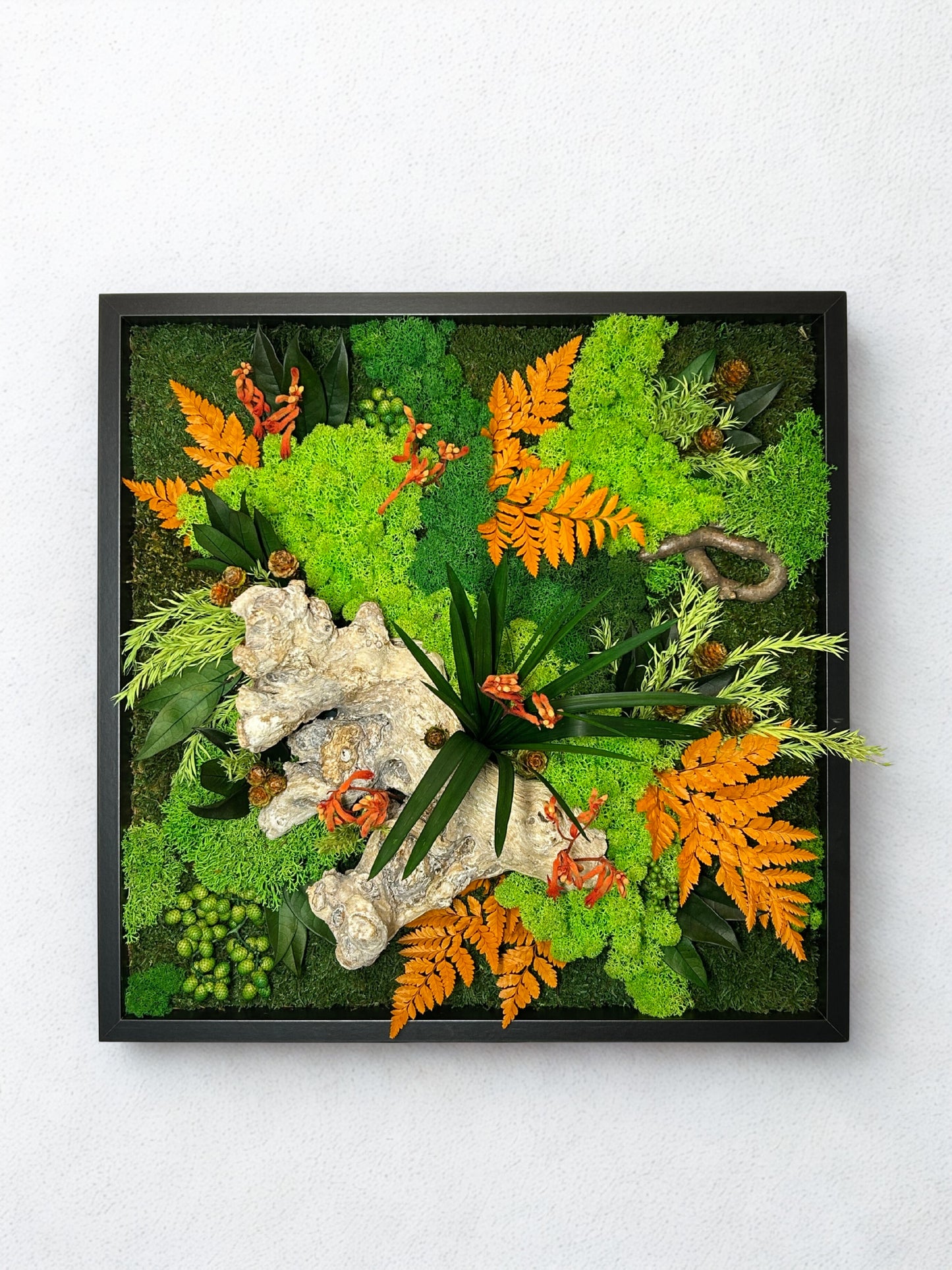 Tableau végétal stabilisé « Constança »