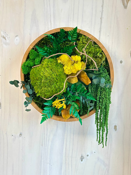 Cadre rond végétal stabilisé « Amani »