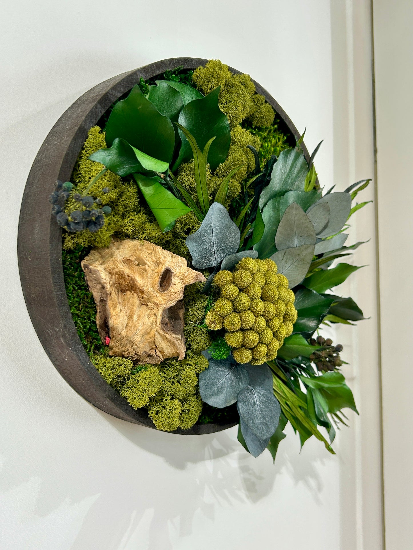 Mur végétal stabilisé sans arrosage. Boutique de décoration Colmar