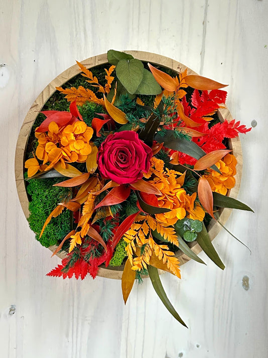 Cadre mousse et plantes stabiliser nuances rouges et orange 