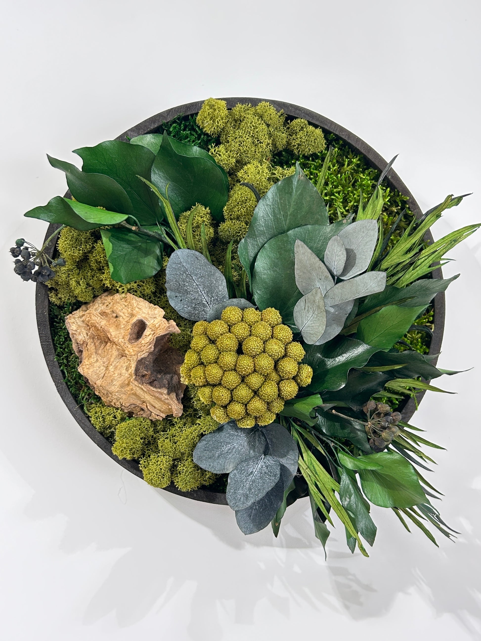 Tableau végétal stabilisé « Taïga » – cadre avec plantes et mousse stabilisées – décoration style nature – Cadeau unique - création végétal artisanale faite main À Colmar