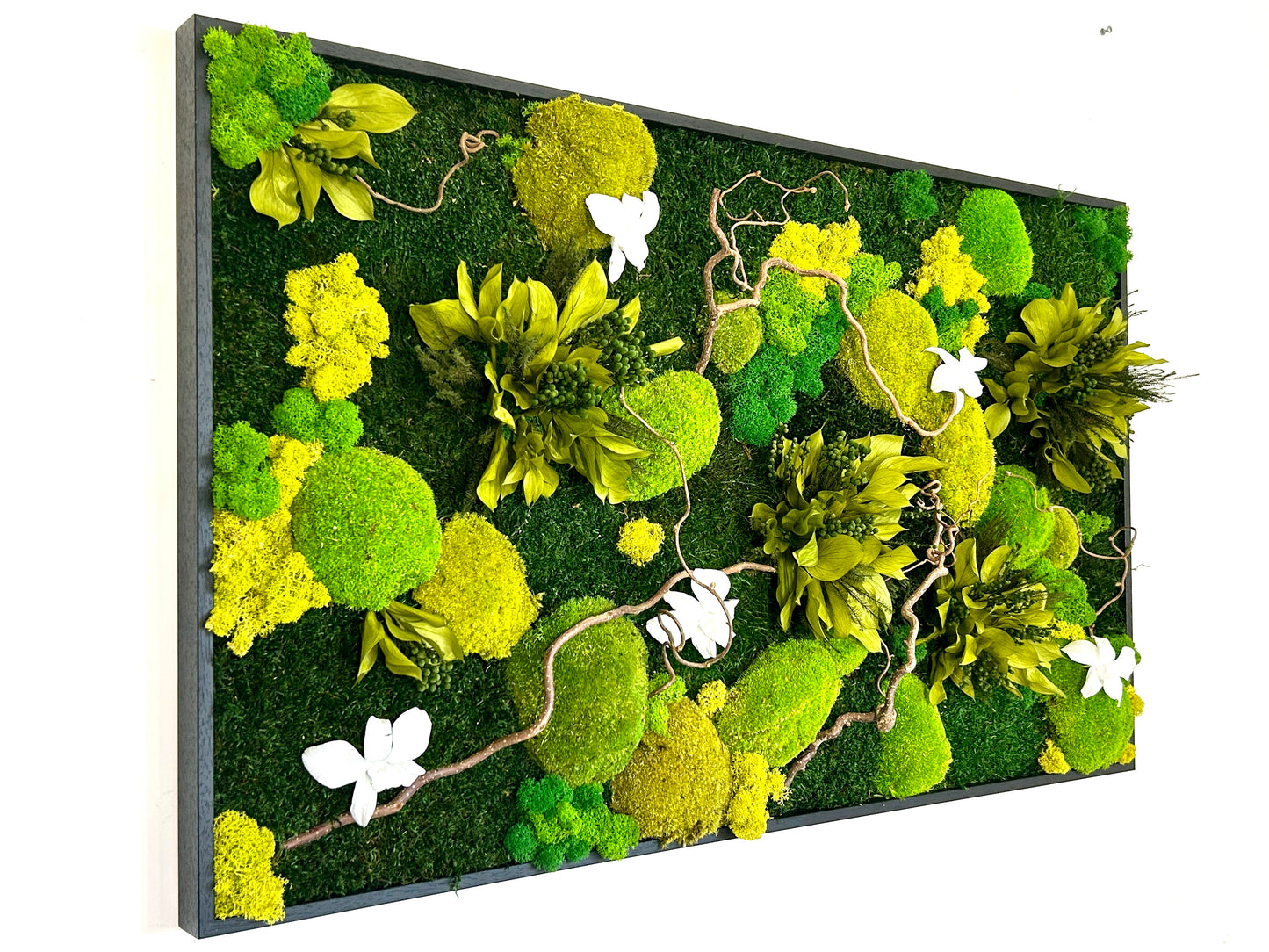 Mur vegetal stabilise sur mesure à Strasbourg, à Colmar, à Paris