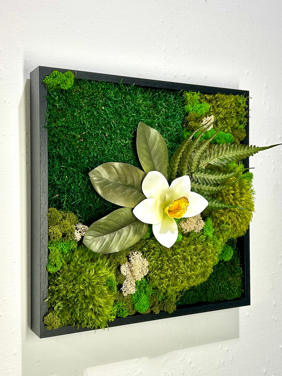 Tableau carré végétal « Cymbidium »