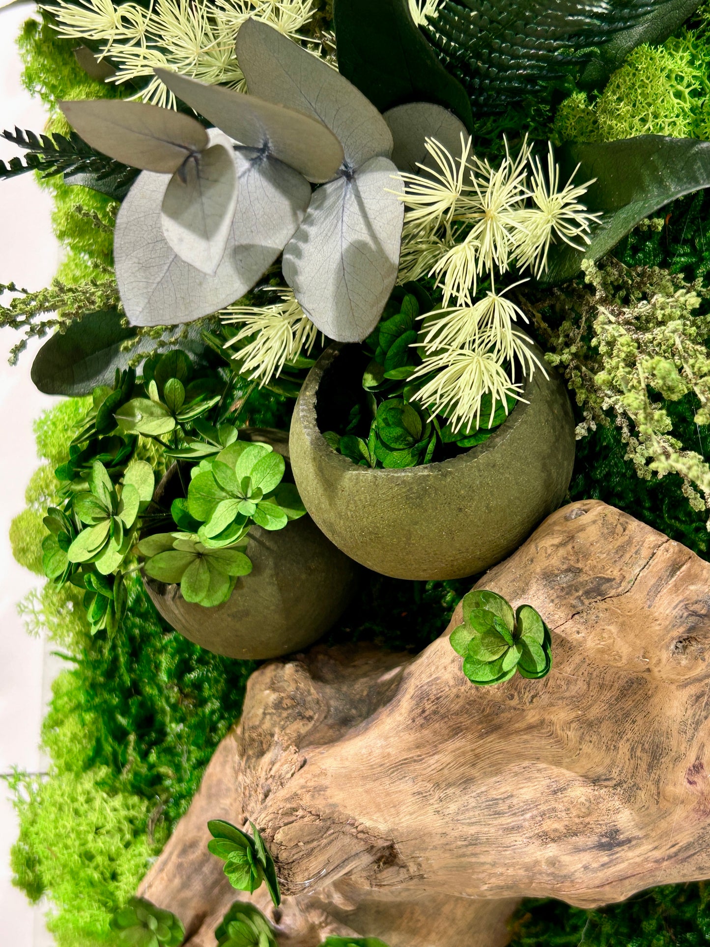 Tableau végétal stabilisé panoramique / vertical « Sous-Bois »