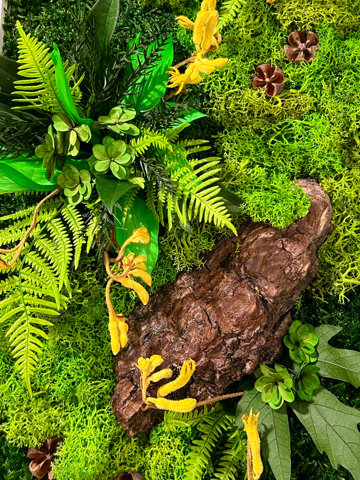 Cadre végétal stabilisé « Aïza » 43x24 cm