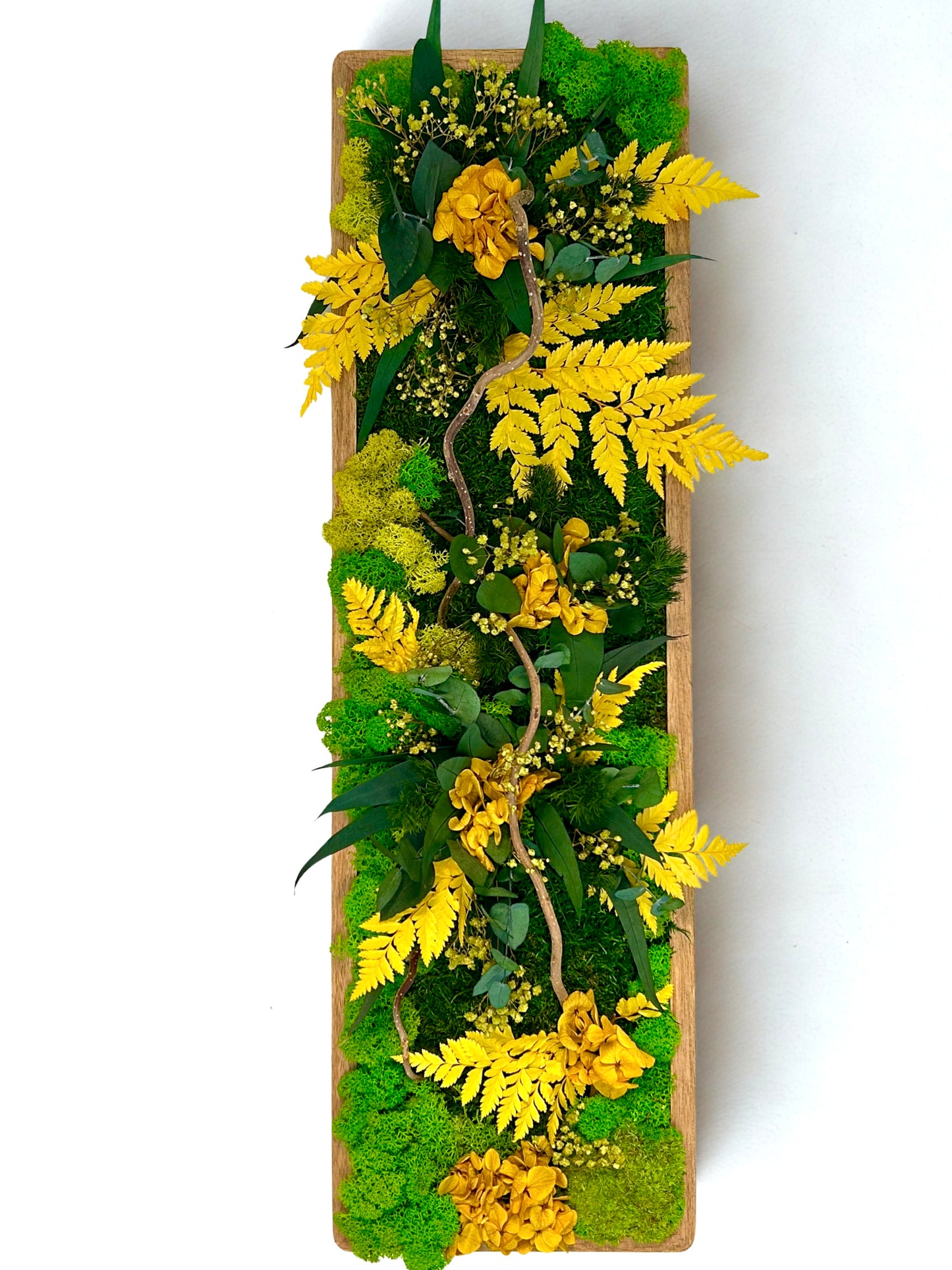 Tableau végétal stabilisé “Éclat Solaire”