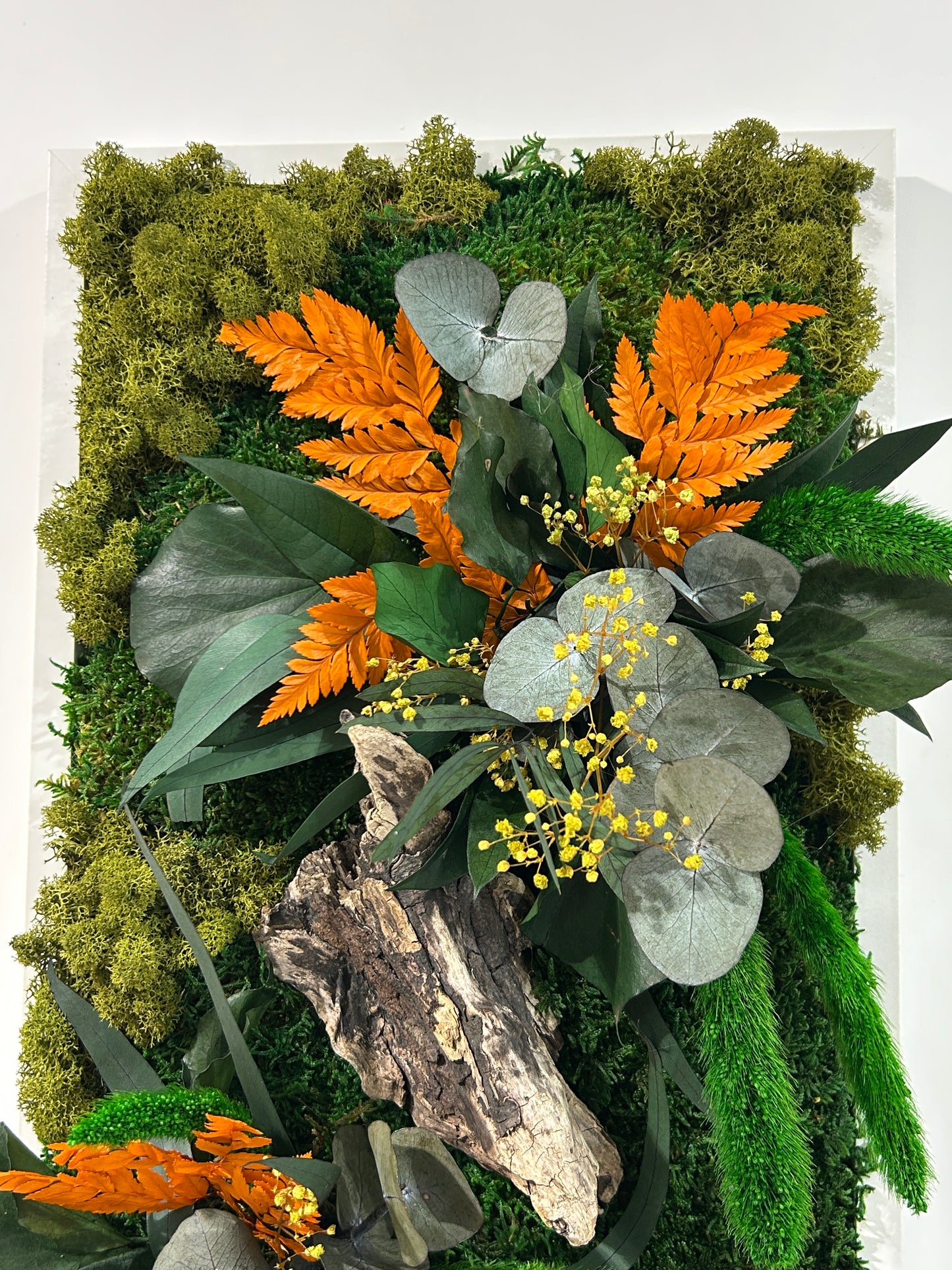 Tableau végétal stabilisé « Forêt des Elfes »