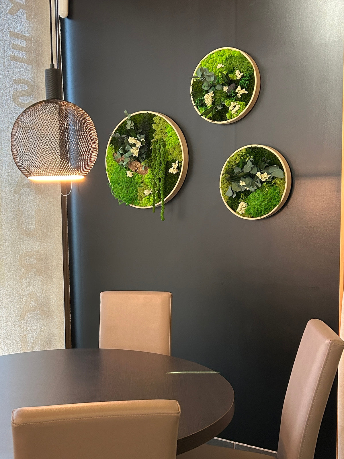Lot de 3 tableaux végétaux stabilisés « Forêt Royale »