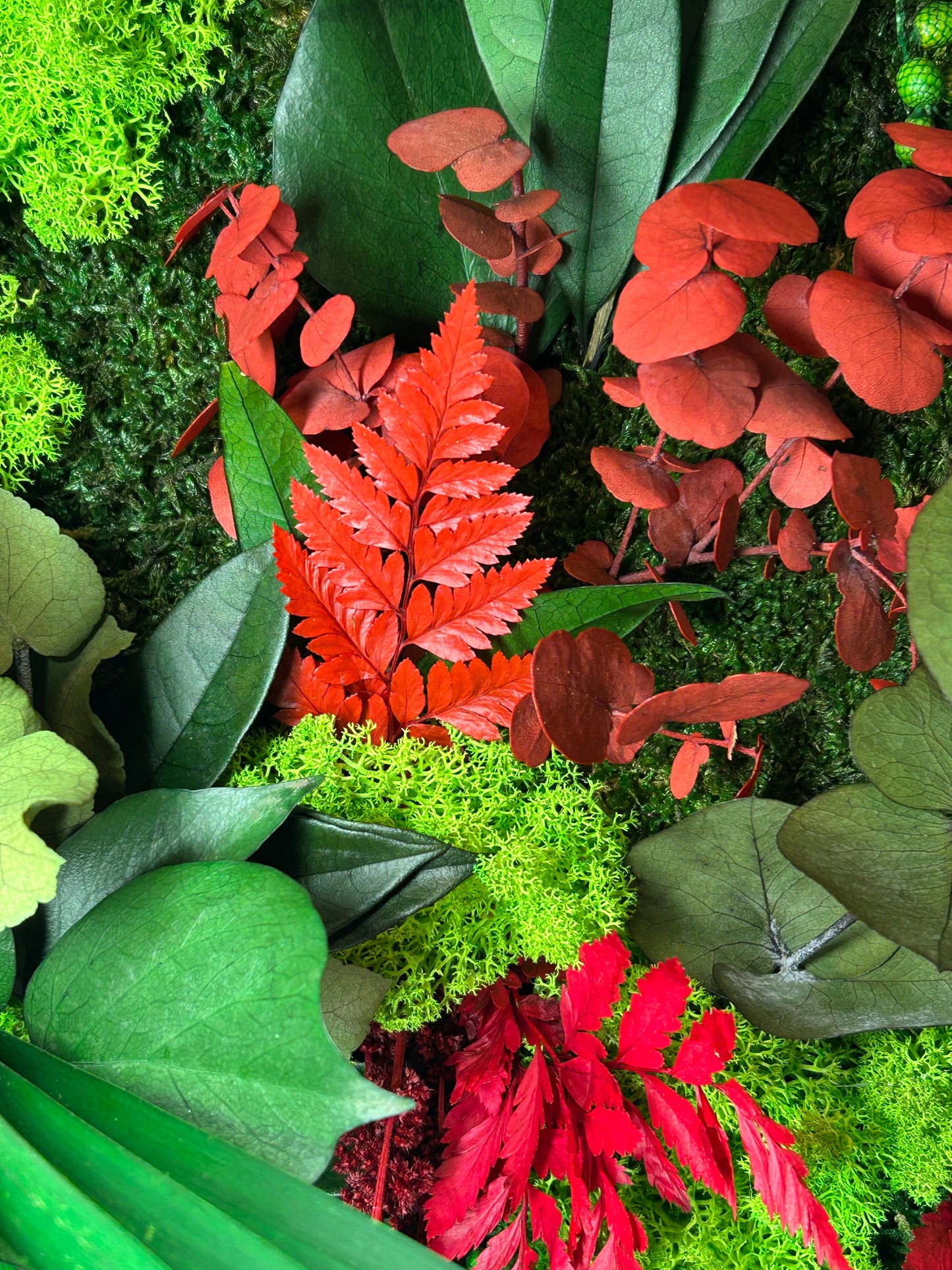 Décoration murale végétale stabilisée avec mousse naturelle et feuillages colorés