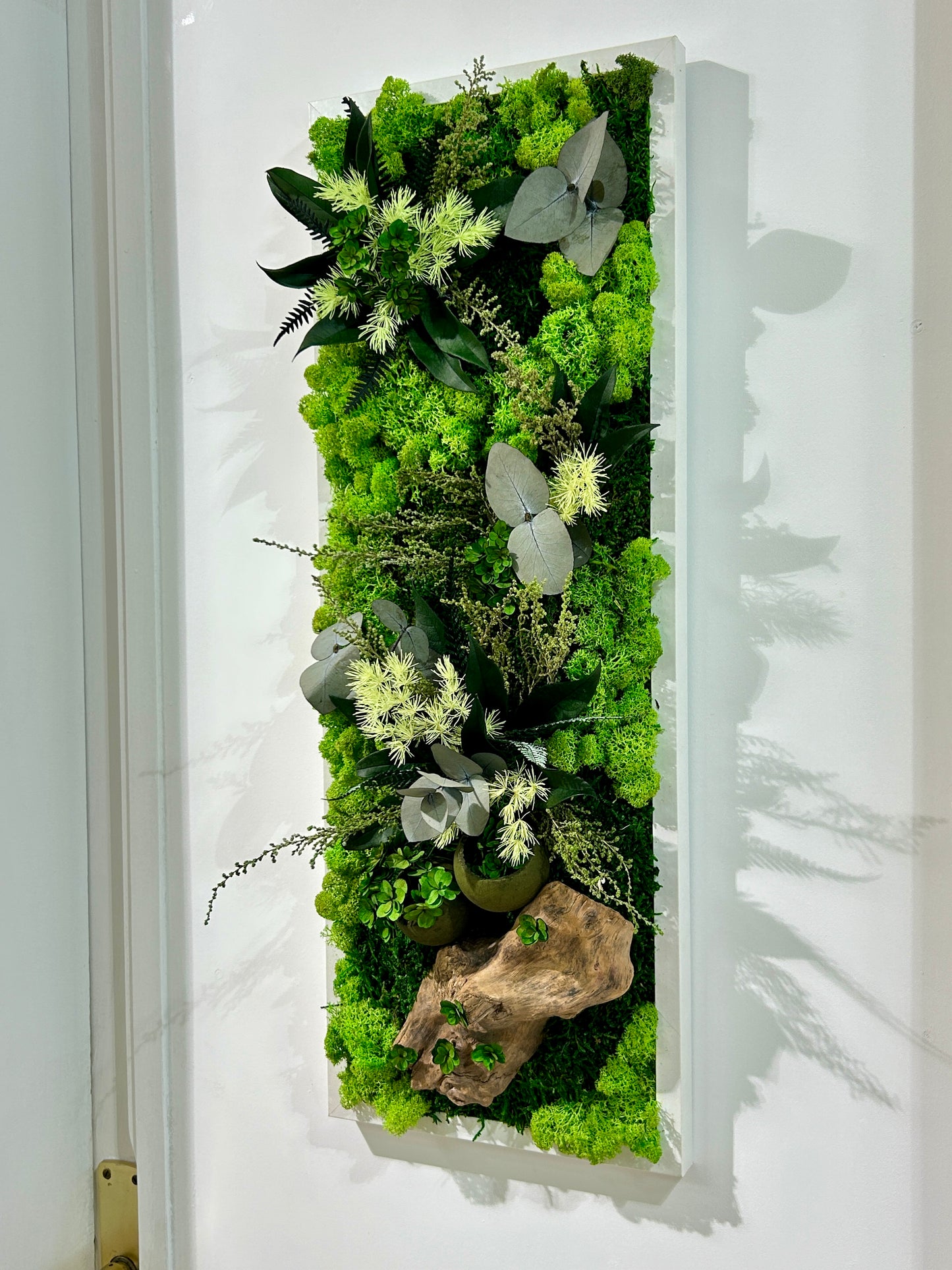 Tableau végétal stabilisé panoramique / vertical « Sous-Bois »