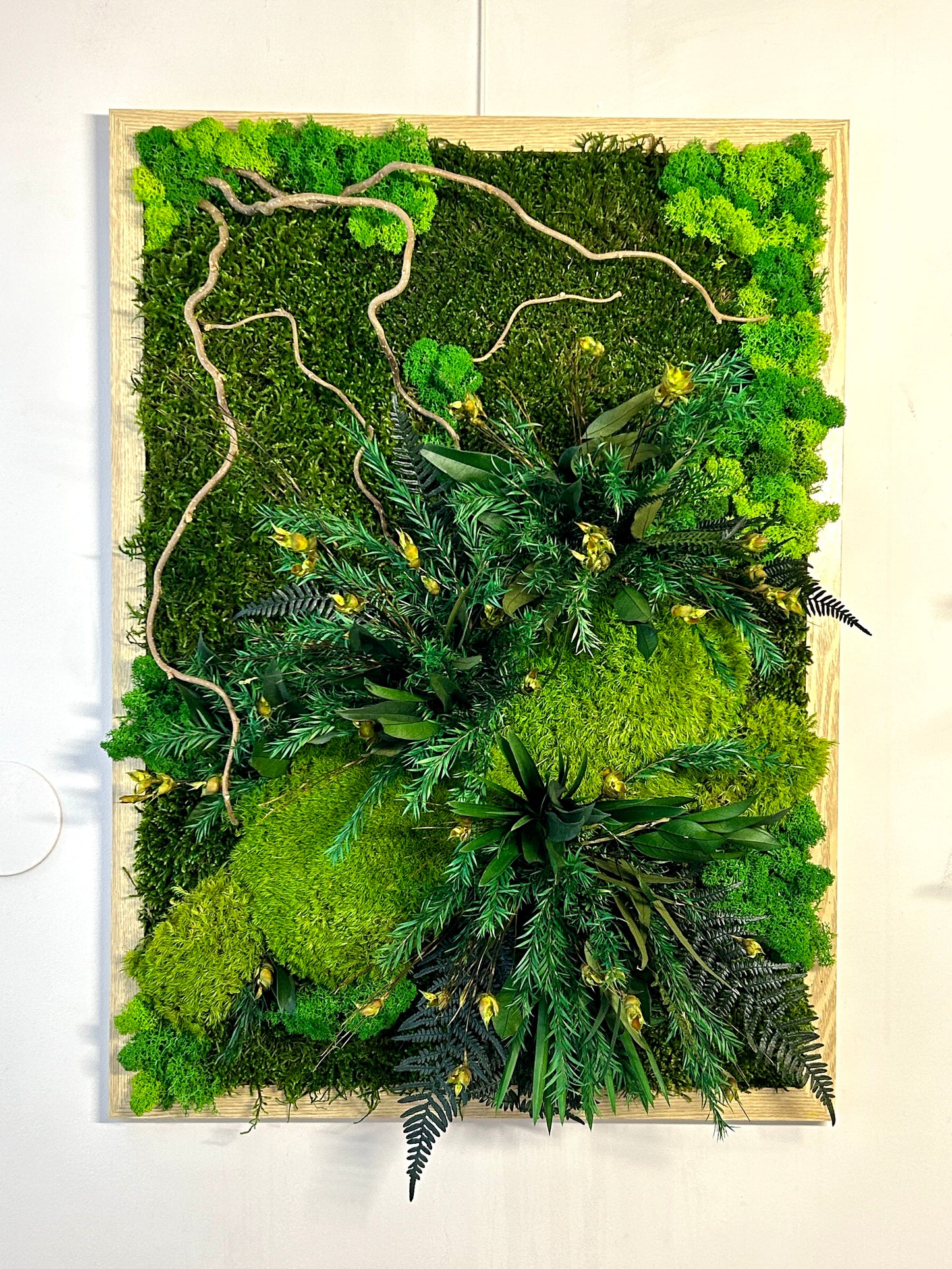 Tableau végétal stabilisé XXL « Tongass »