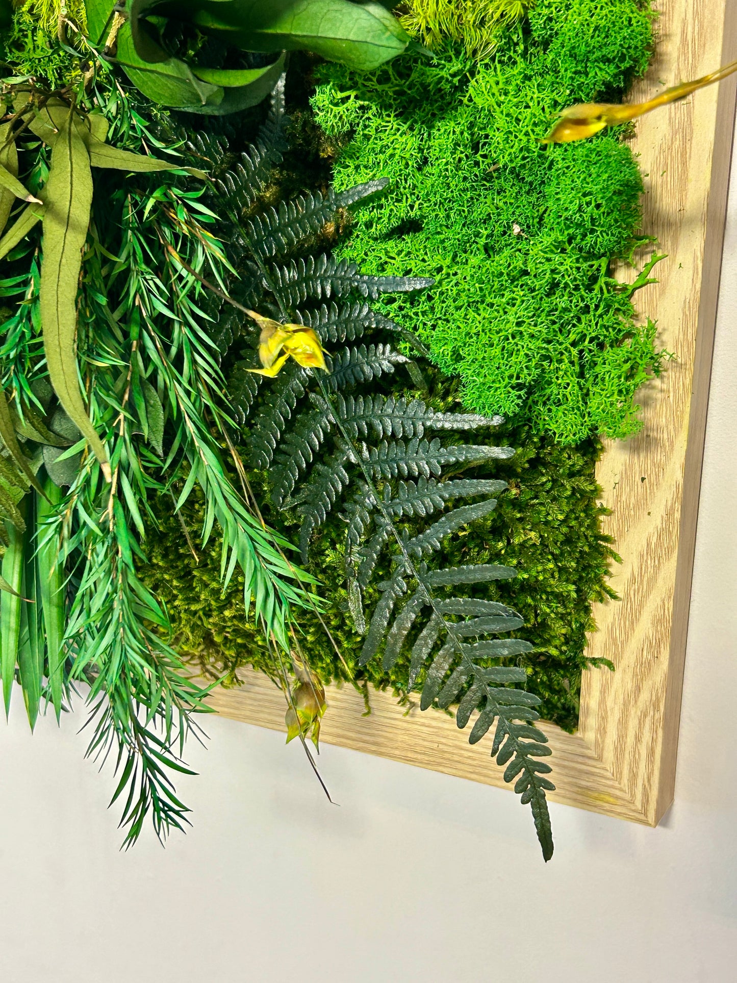 Tableau végétal stabilisé XXL « Tongass »