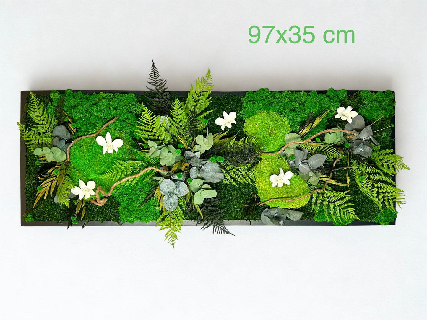 Tableau végétal stabilisé “Calista”