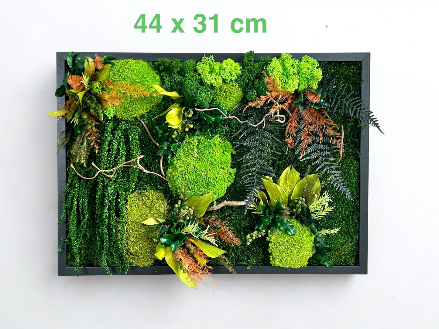 Tableau végétal stabilisé « Alice » - Cadeau nature – Décoration zen