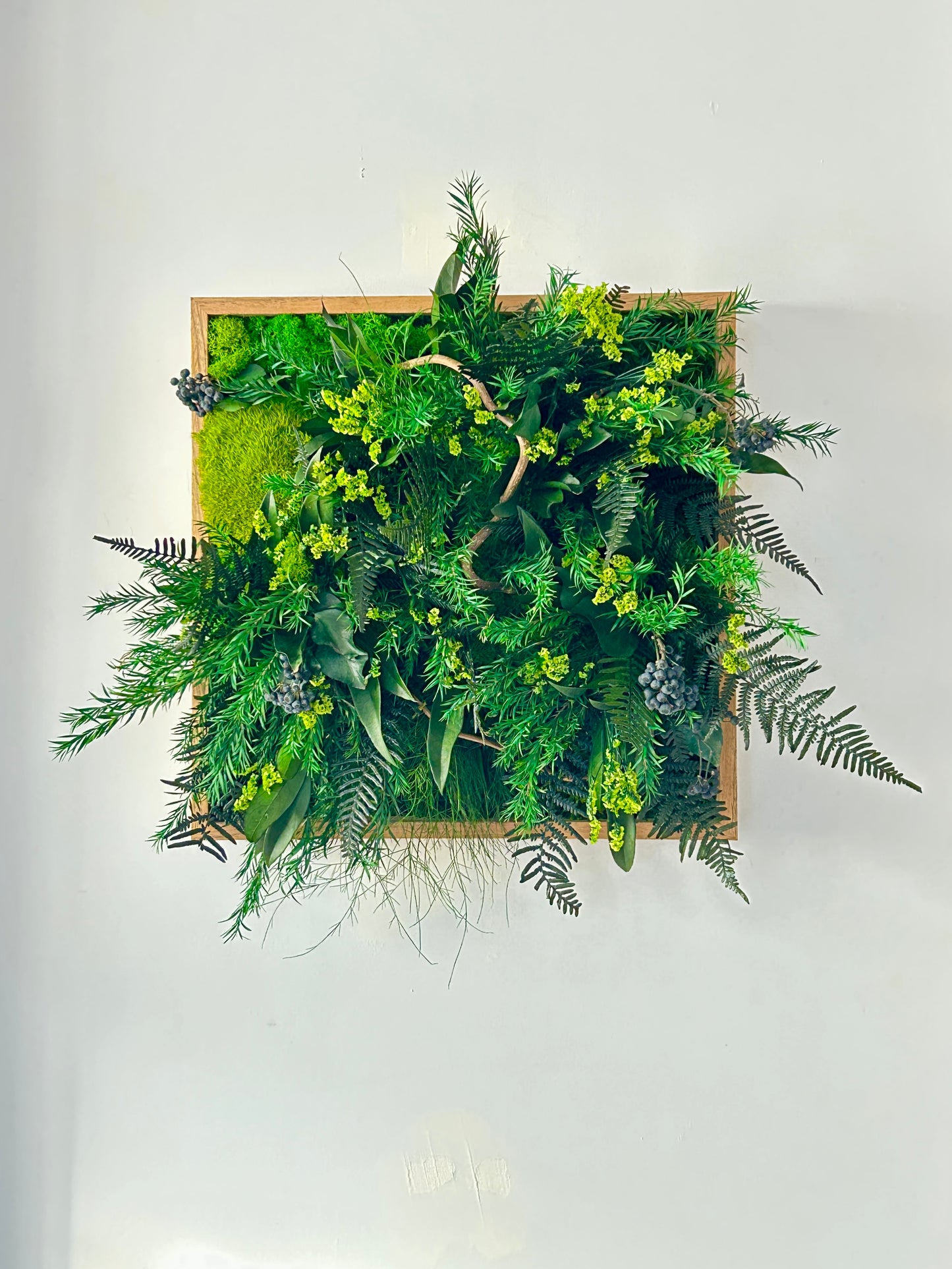 Cadre mural carré végétal stabilisé  « Sylva Verde »