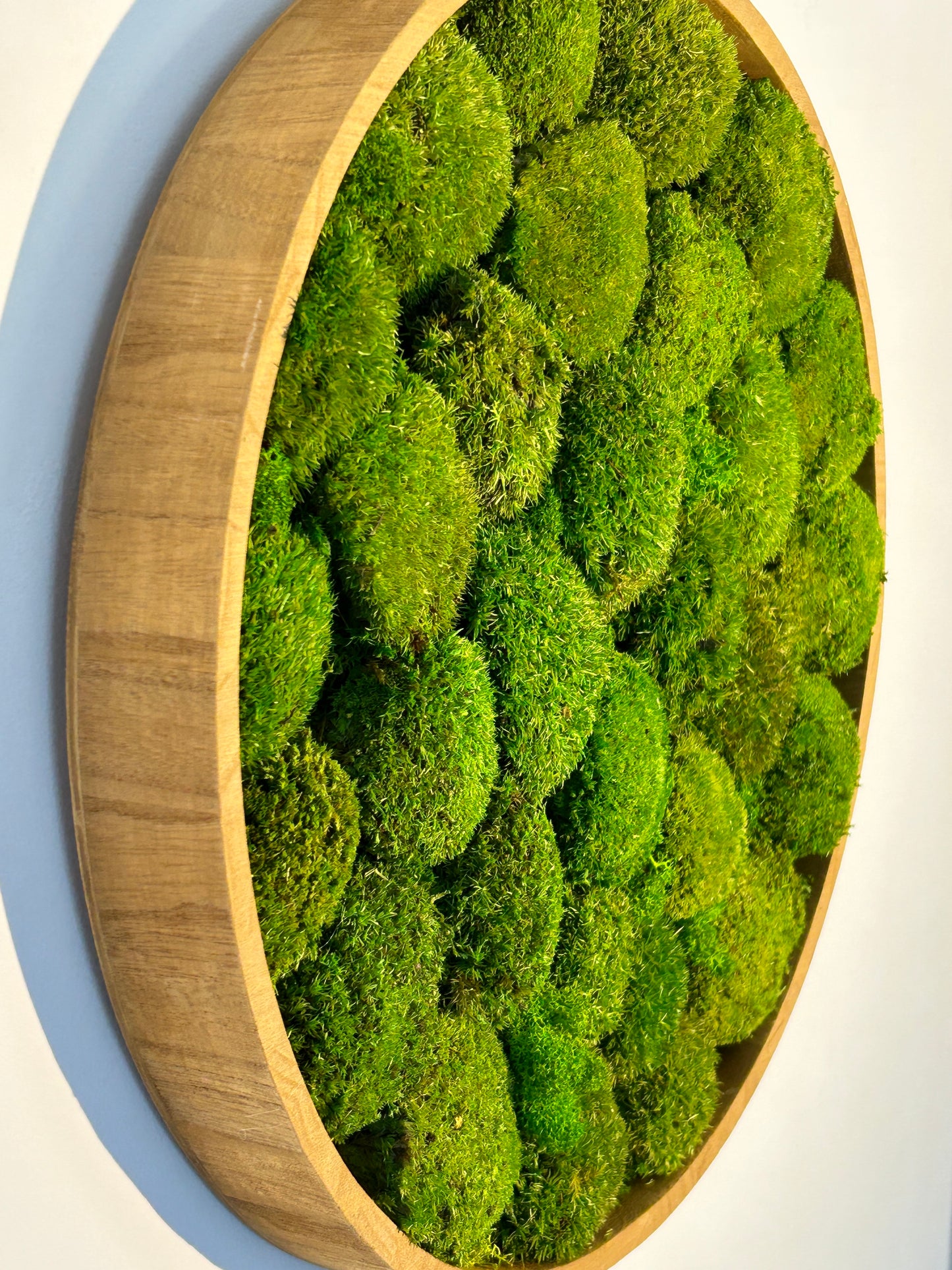 Tableau végétal stabilisé “Oasis”