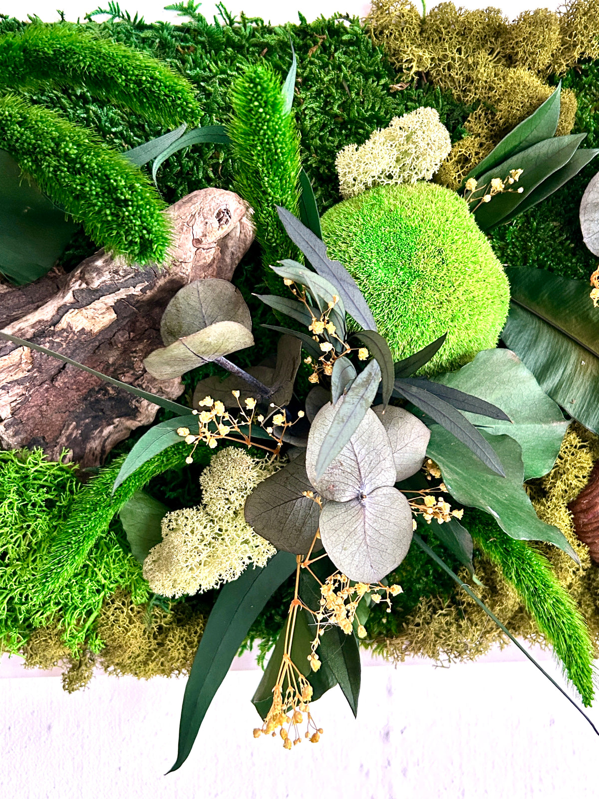 Tableau végétal stabilisé « Jade » – Cadre végétal panoramique – Mousses et plantes naturelles – Décoration murale artisanale