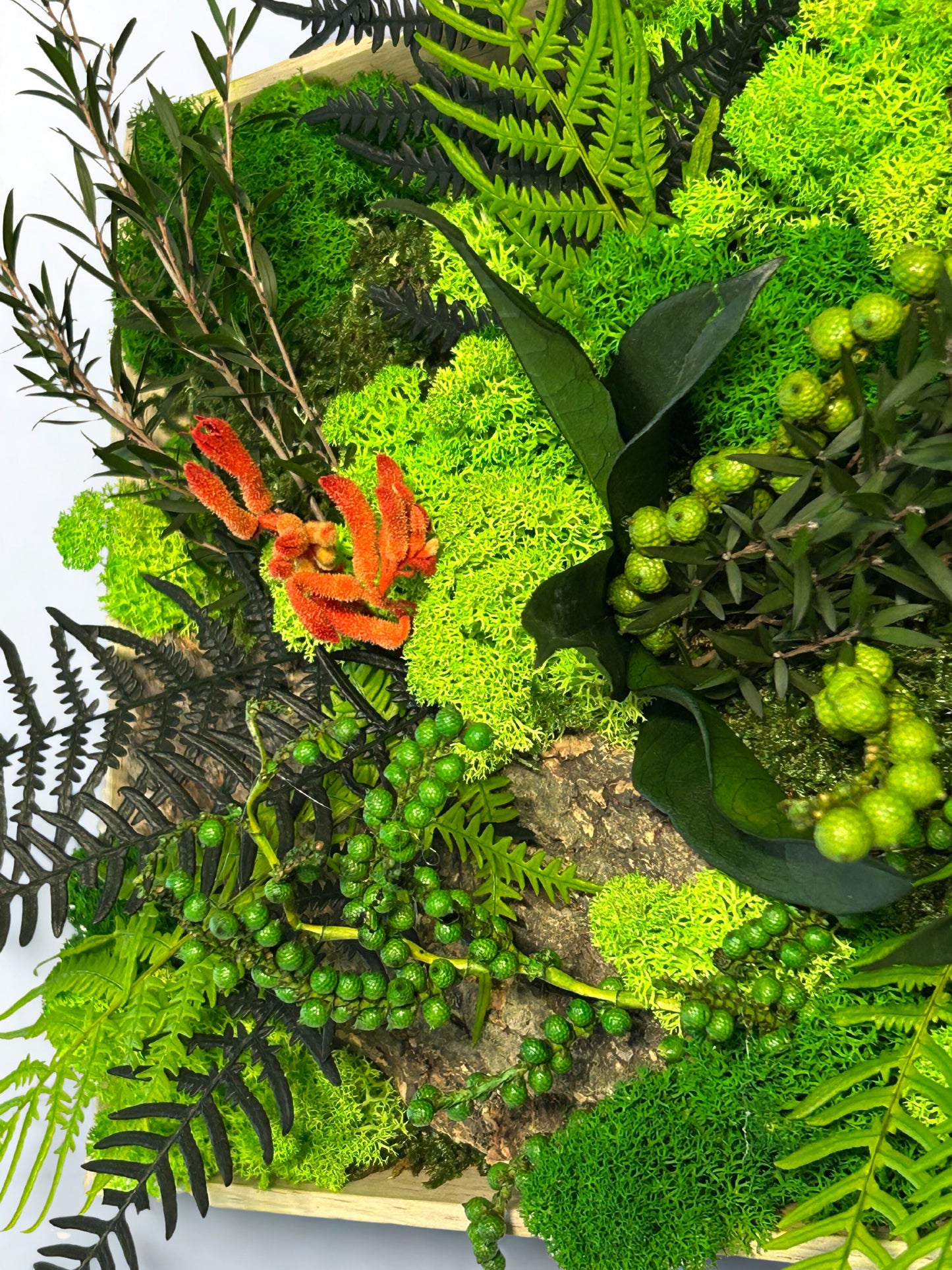 Tableau panoramique végétal stabilisé « Kiana »