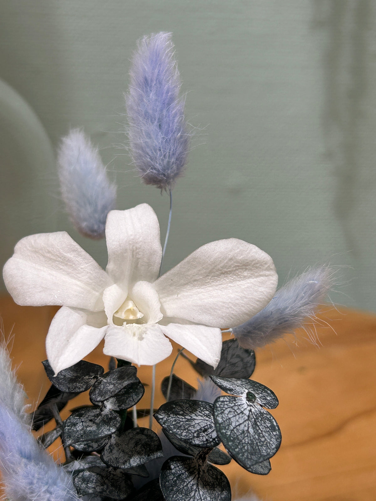 Orchidée blanche sous cloche en verre – Fleurs stabilisées Céleste