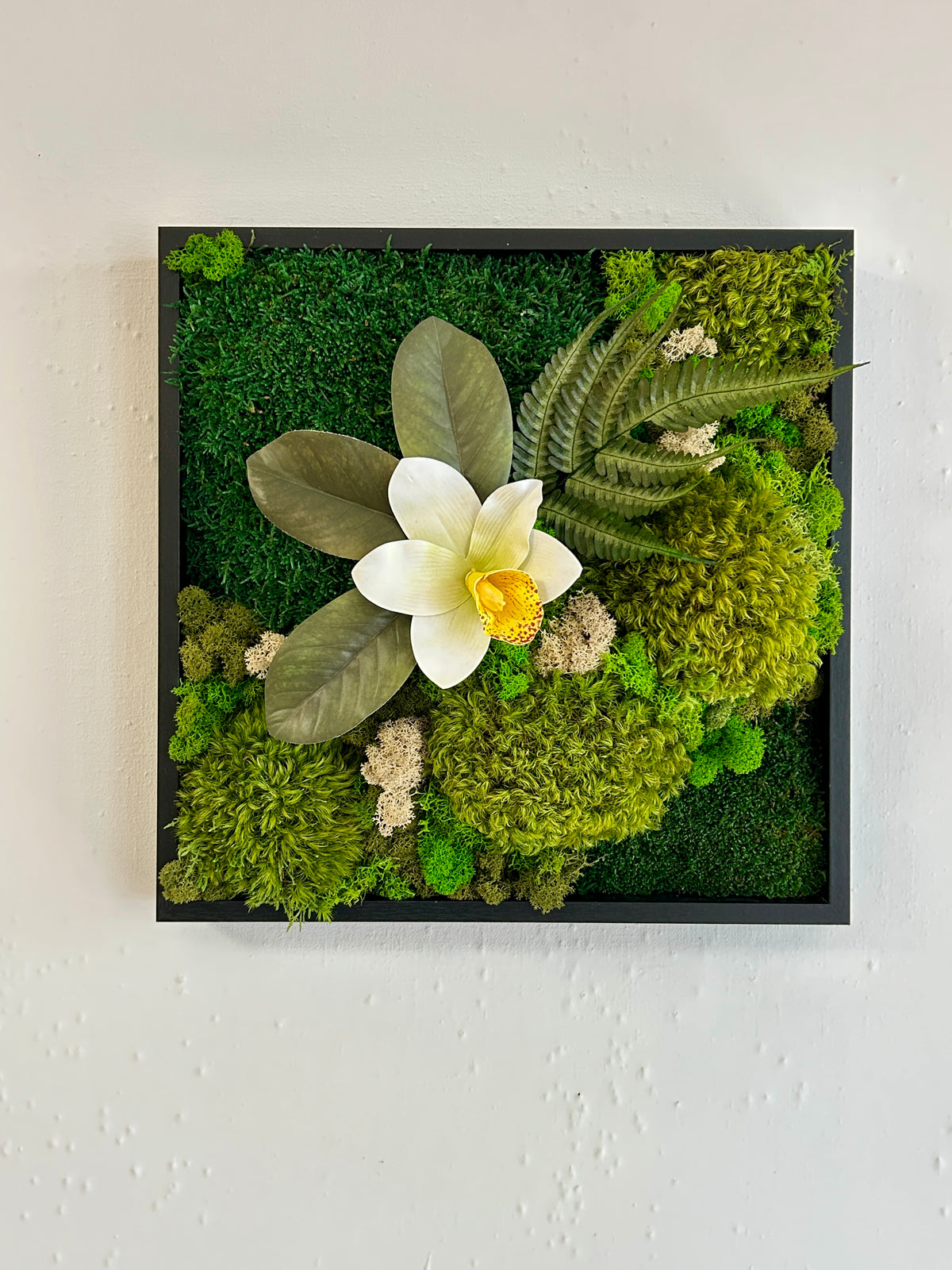 Tableau carré végétal « Cymbidium »