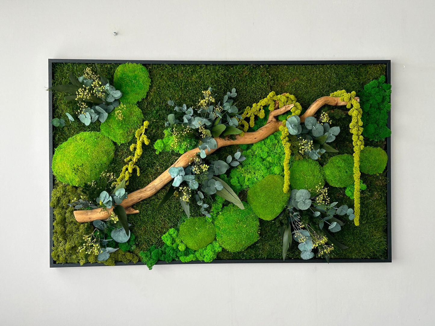 Grand cadre vegetal stabilise en mousse et eucaliptus lichen et amarant, Panneau mural avec plantes veritables et mousse stabilise
