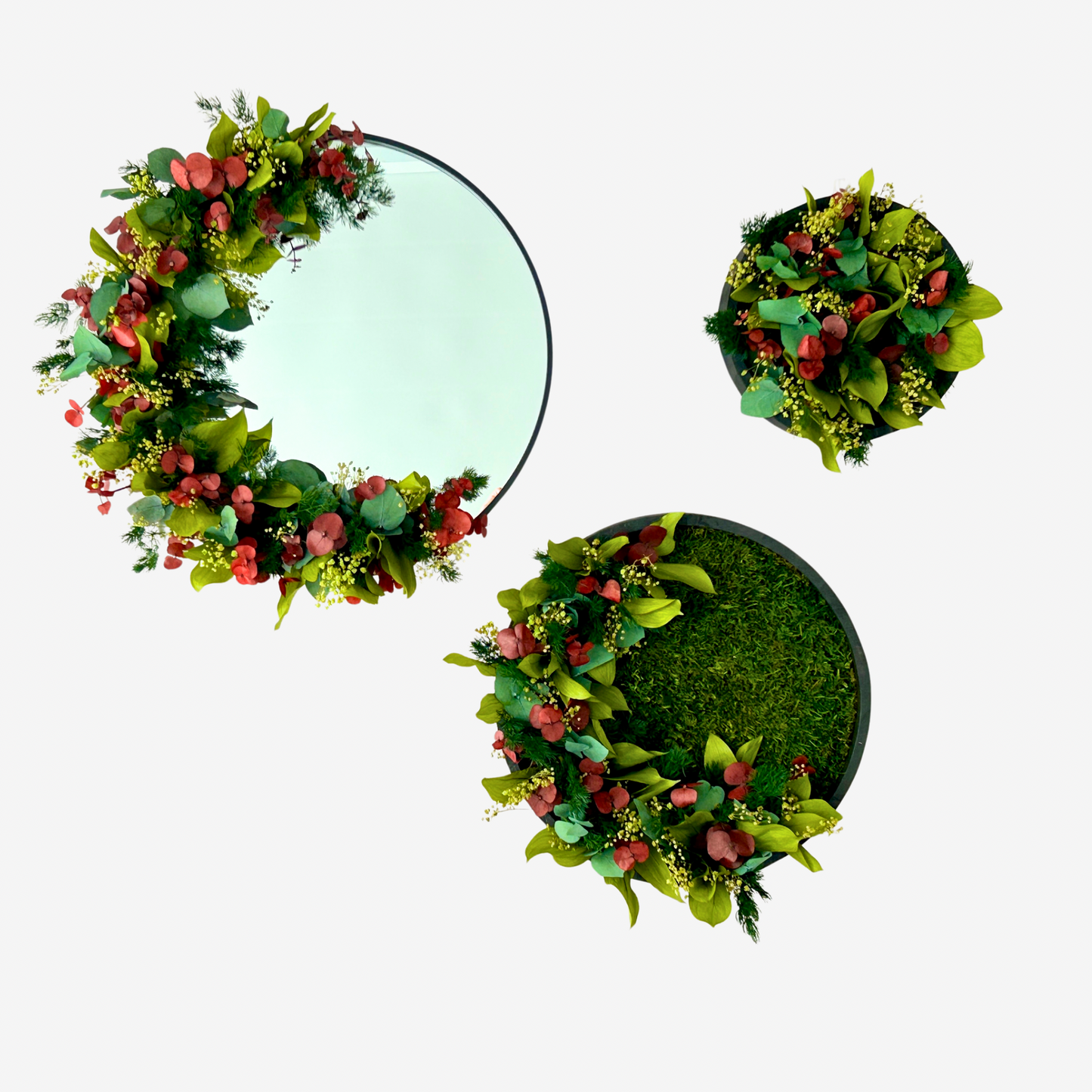 Trio végétal stabilisé “Phases de lune”