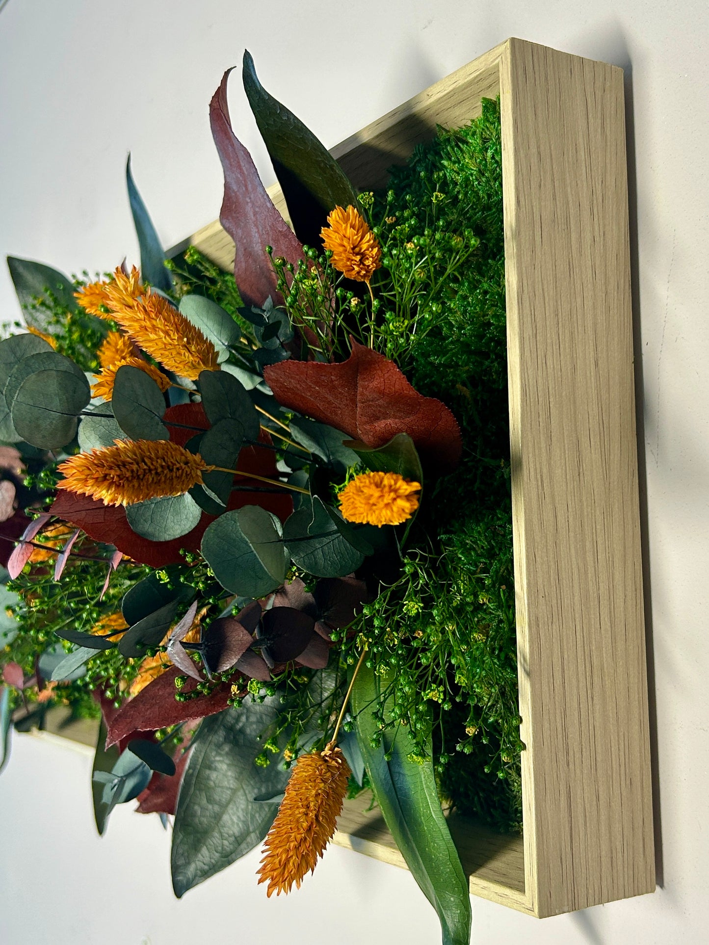 Cadre végétal stabilisé « Solea »