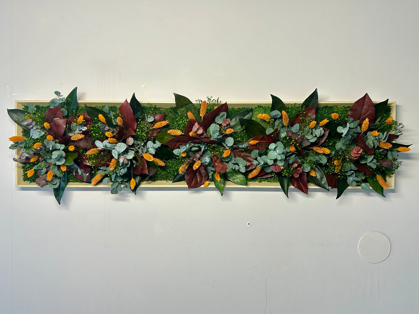 Cadre végétal stabilisé « Solea »