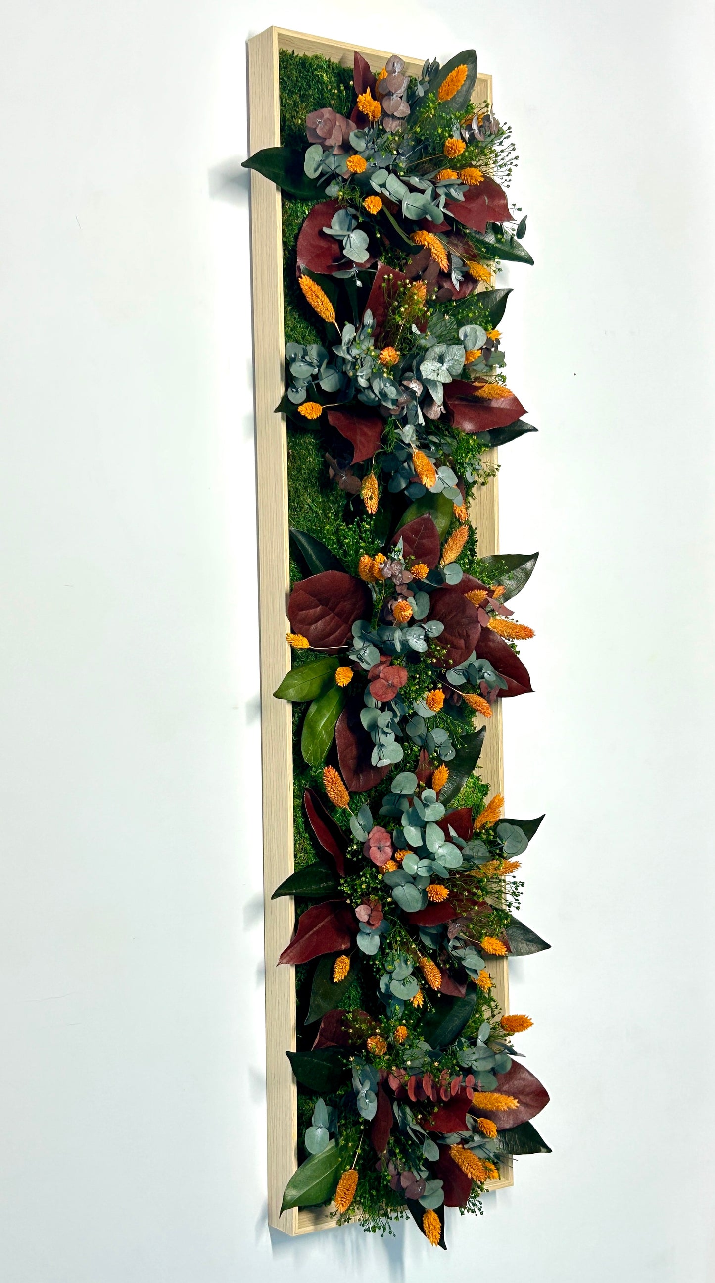 Cadre végétal stabilisé « Solea »