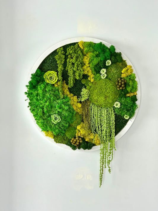 Tableau végétal stabilisé rond “Verline”