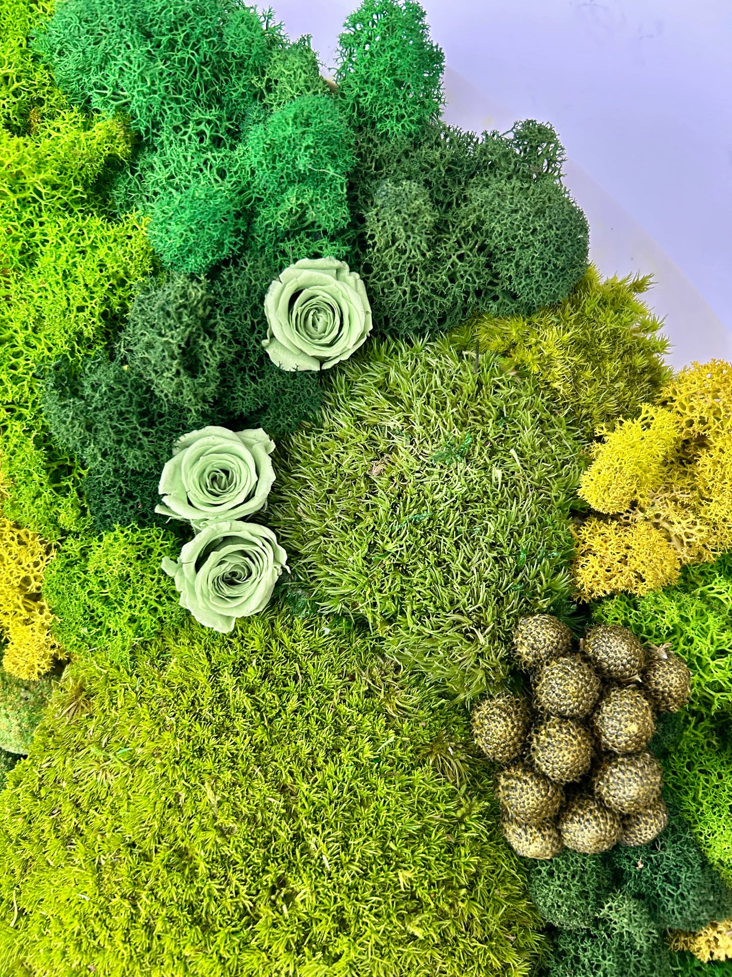Tableau végétal stabilisé rond “Verline”