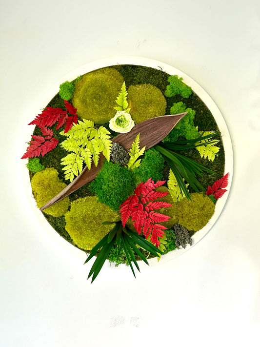 Tableau végétal stabilisé rond XL “Luna”