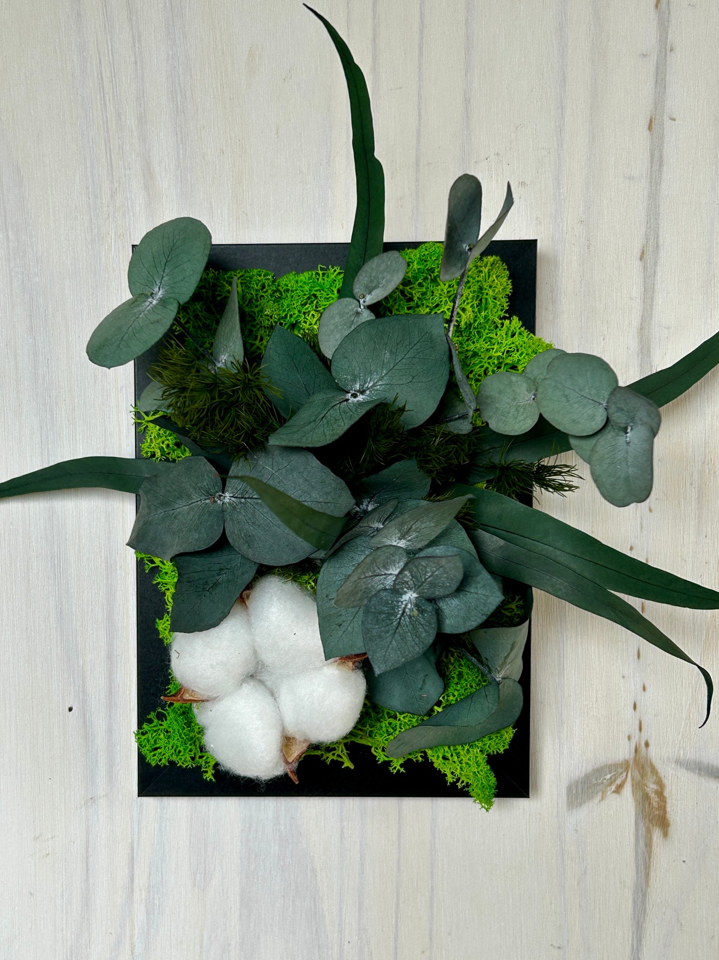 Cadre végétal stabilisé avec fleur de coton, tableau, mural et eucalyptus, tableau avec plantes naturelles