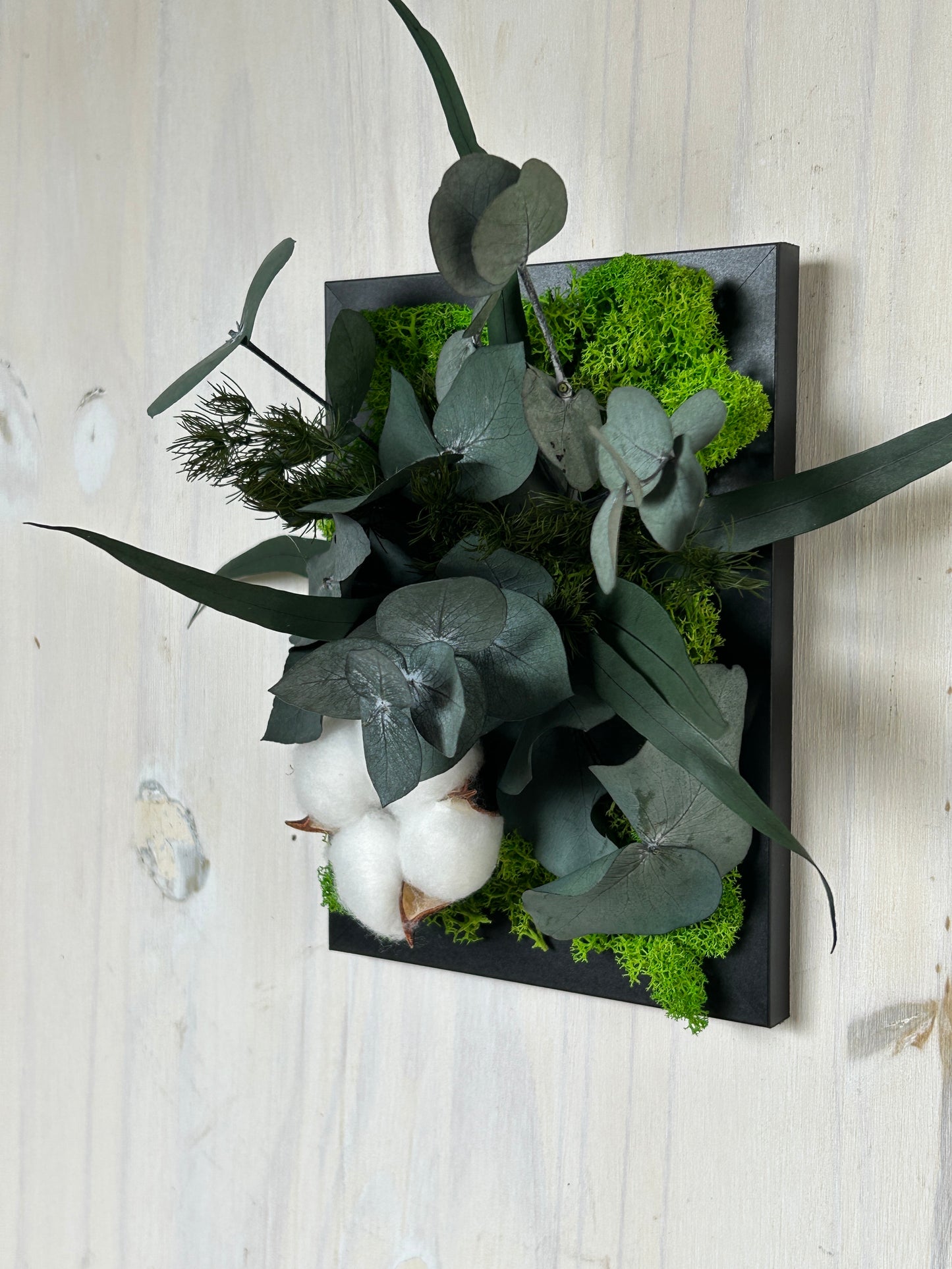 Cadre végétal stabilisé "Fleur de coton"