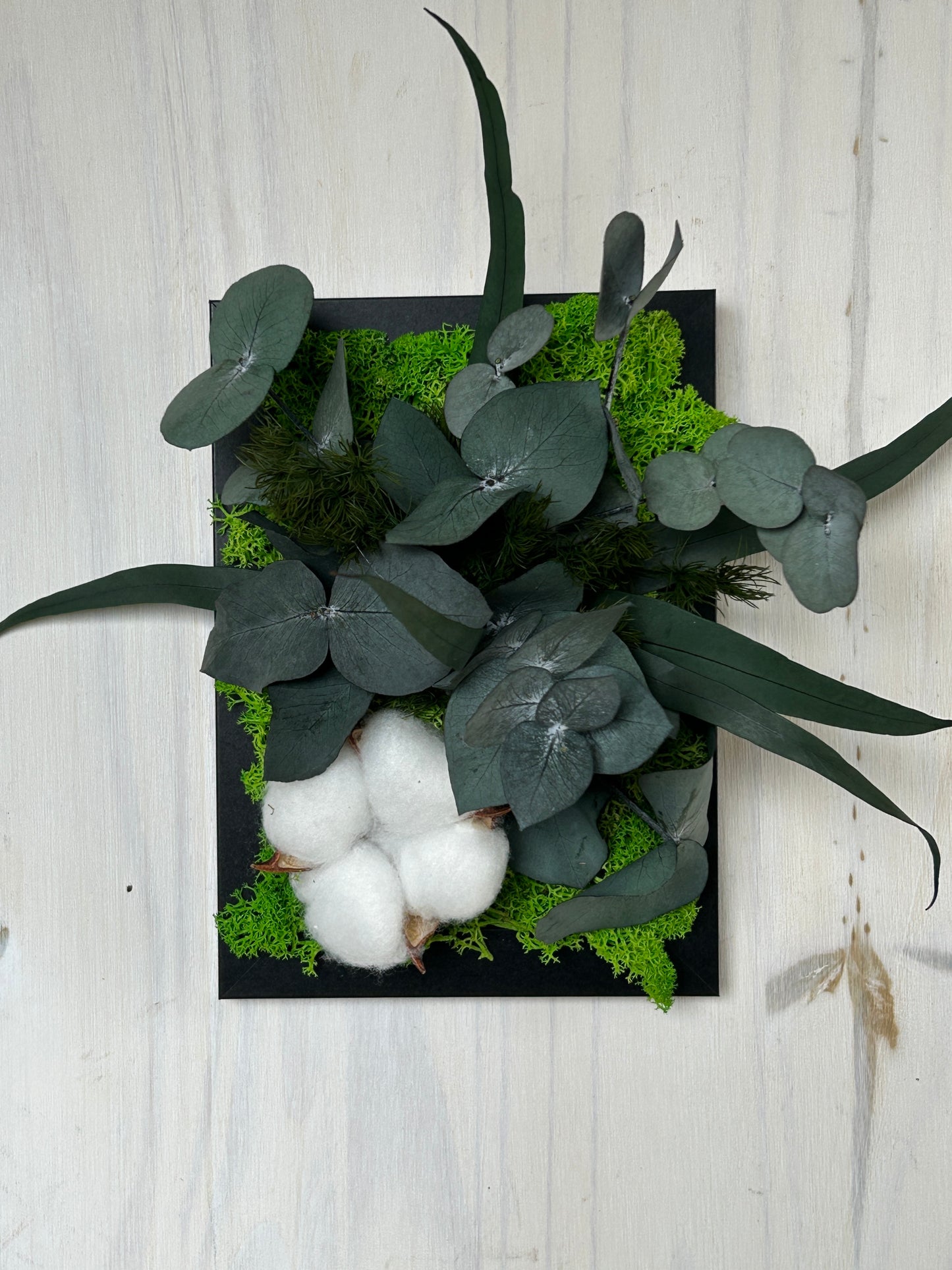 Cadre végétal stabilisé "Fleur de coton"