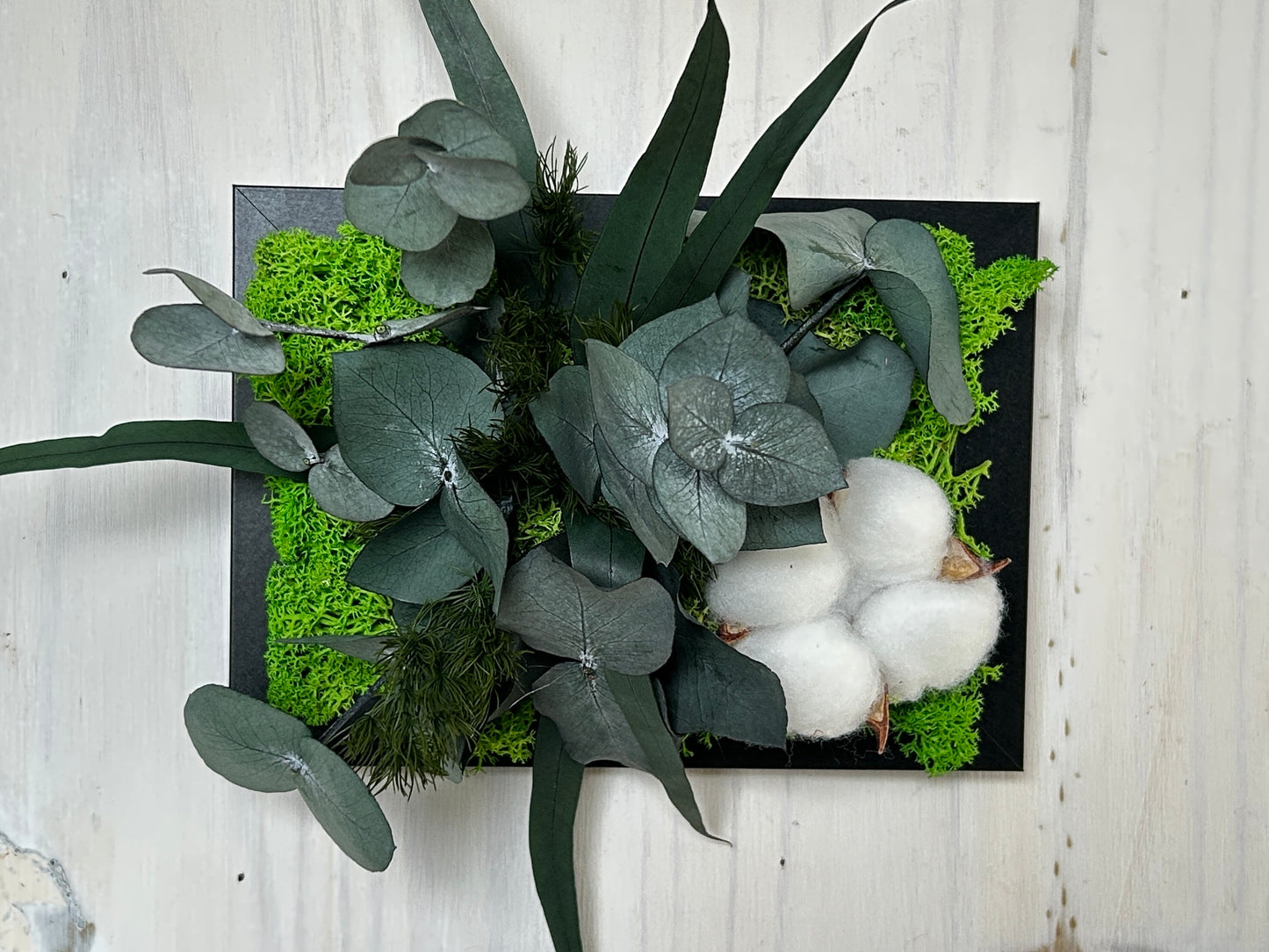 Cadre végétal stabilisé "Fleur de coton"