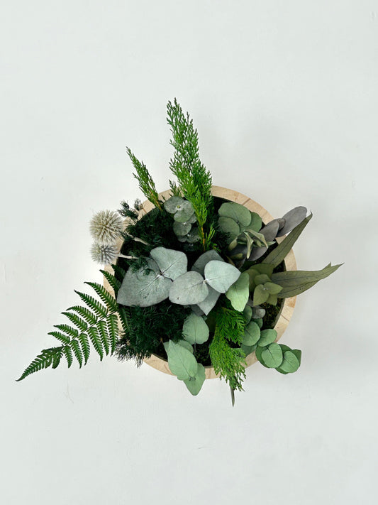 Cadre avec plantes véritables, cadre mousse et plantes, cadre vegetalisé
